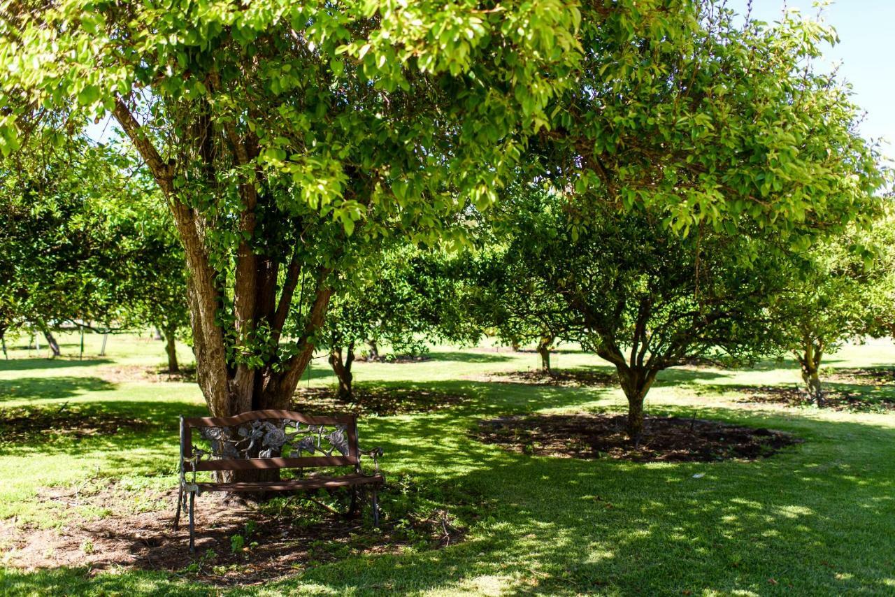 Fairlawn Estate Guest House Busselton Exterior photo
