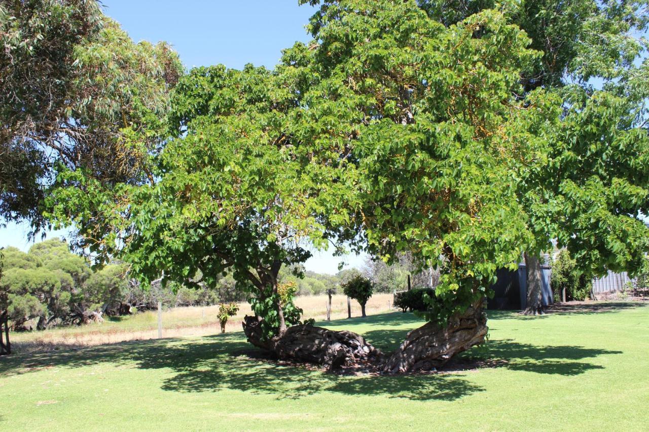 Fairlawn Estate Guest House Busselton Exterior photo